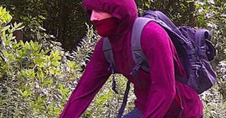Havelock release details on attempted bank robbery suspect