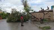 Protección Civil y Bomberos de Cancún atienden reportes tras las lluvias