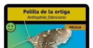 'Conoce a tus polinizadores': un juego de la Unión Europea