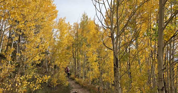 Great Fall Hikes: Old Dillon Reservoir in Summit County