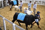 Con actividades ganaderas y una charla, comienza la Expo Rural Gualeguaychú