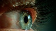 Investigación científica reveló la razón por la que los seres humanos experimentan ilusiones ópticas