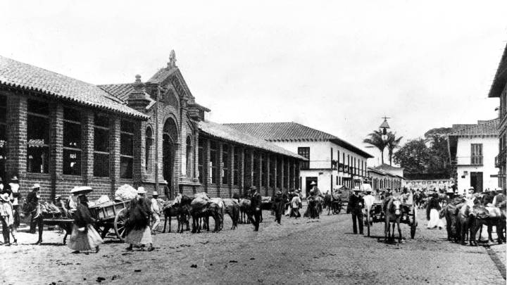 Un tranvía de mulas, así empezó la revolución de movilidad en Medellín