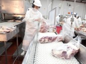Retenciones cero: el Gobierno aclaró que el esquema sigue vigente para la exportación de carnes avícolas y bovinas