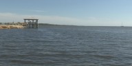 FWC hits pause on scallop season
