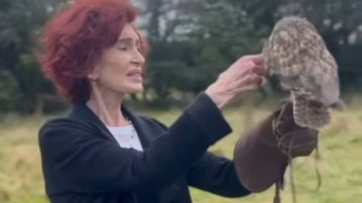 Sharon Osbourne seen for the first time since Ozzy's funeral as Kelly introduces her to hobby that's helping her grieve