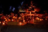 The Best Bay Area Halloween Events for 2025