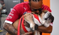El conmovedor mensaje de Hamilton por la muerte de su mascota
