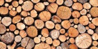 Estados Unidos impondrá aranceles a las importaciones de madera: ¿desde cuándo?