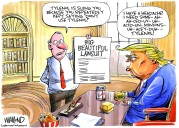 Cartoonist’s take: Tylenol headache