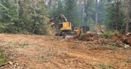 Foley Ridge Fire grows to 482 acres, remains uncontained