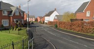 Dog's death being investigated after alleged biting incident
