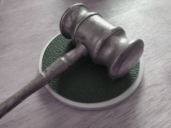 Burglary suspect pleads guilty