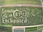 Metro corn maze celebrates Taylor Swift and Travis Kelce's engagement
