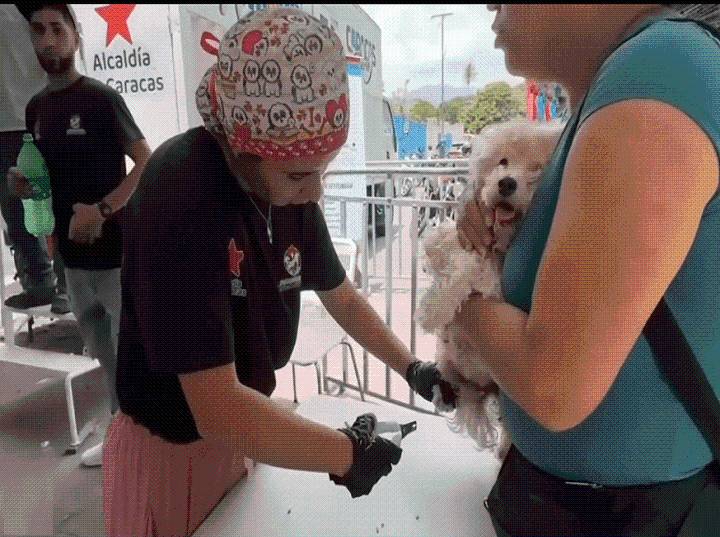 Incorporan clínica veterinaria móvil a la Operación Caracas Sonríe