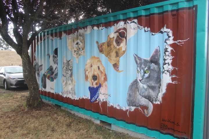 West Columbia Gorge Humane Society unveils mural depicting former shelter animals