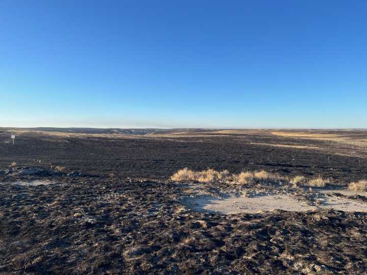 As Wyoming sage grouse near their cyclic high, northeastern population tumbles