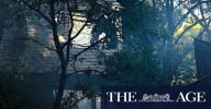 Avalon house fire