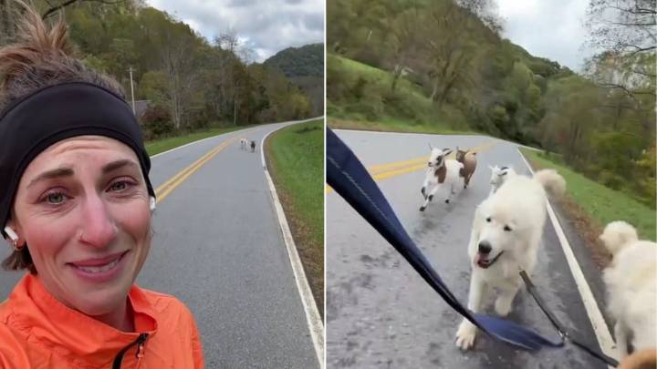 North Carolina Woman And Her Dogs Were Jogging When An Unforeseen Visitor Joined The Fun