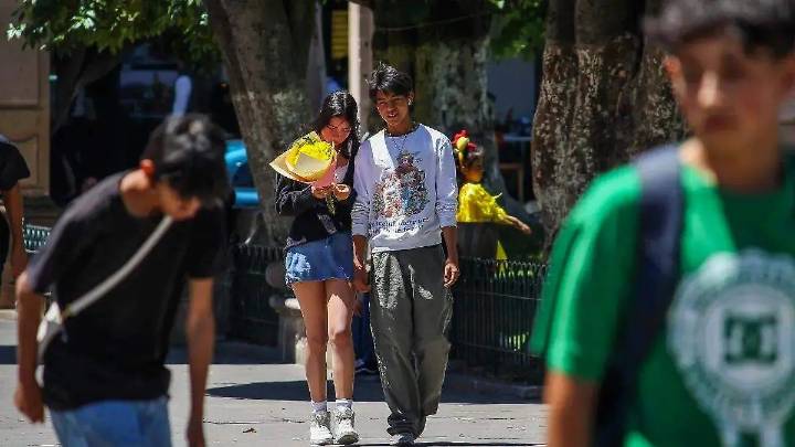 El misterio de las flores amarillas: ¿Por qué todos las regalan el 21 de septiembre?