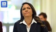 'Jacinta will be back', says senior Liberal after Ley sacks Nampijinpa Price