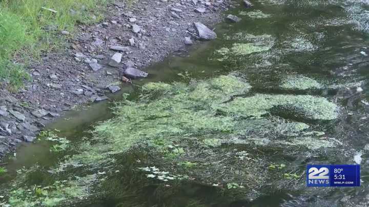 Fed up, groups demand solution to sewer overflows