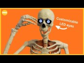 The Home Depot's 6.5 -foot skeleton is perfect for year