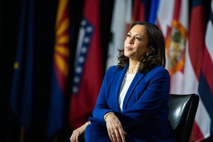 Kamala Harris says she ‘had a certain responsibility’ to argue against Biden running again