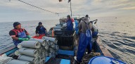 Pesquería de anguila inicia evaluación para certificación internacional