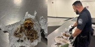 Suspected human remains used for ‘rituals’ found in luggage at airport, CBP says