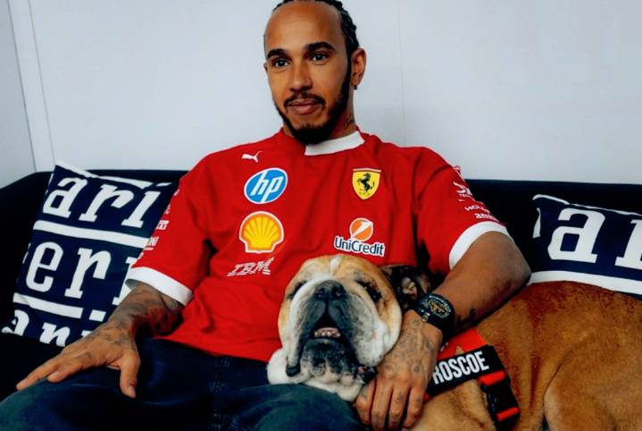 Murió ‘Roscoe’, el perrito de lewis Hamilton que cautivó a la F1