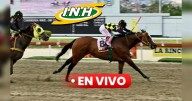 Resultados 5y6 La Rinconada EN VIVO HOY, domingo 21 de septiembre 2025: ganadores y premios de todas las carreras del INH