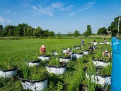 BGSU students researching key aspect of Ohio wetlands implementation