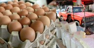 El cartón de huevos cuesta casi lo mismo que un kilo de queso
