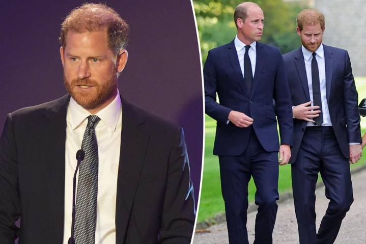 Prince Harry jokes about 'challenging' siblings amid strained relationship with Prince William