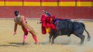 El Ayuntamiento de Calatayud desiste de realizar el único festejo taurino previsto en sus Ferias