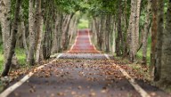 ¿Cuándo comienza el otoño y cómo será el tiempo en Cantabria?
