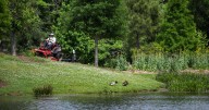 Grass faces new challenges in the fall. Dan Gill explains how to keep it healthy as growth slows.