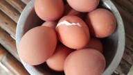 Ni vinagre ni aceite: el ingrediente que tienes que echar al agua cuando hierves huevos