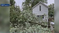 Lamoni woman recounts close call as storm sends tree branch crashing down