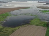 Por las inundaciones y la falta de obras, peligra la producción de trigo