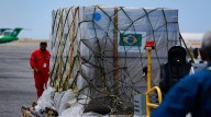 Llegan de Brasil 300 mil vacunas BCG para proteger a población infantil