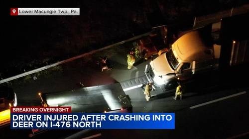 Driver hurt after striking deer on Northeast Extension of the Pennsylvania Turnpike in Lower Macungie Township, Lehigh County
