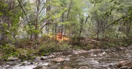 Primary control lines are cut, but Emigrant Fire officials wait to raise containment percentage