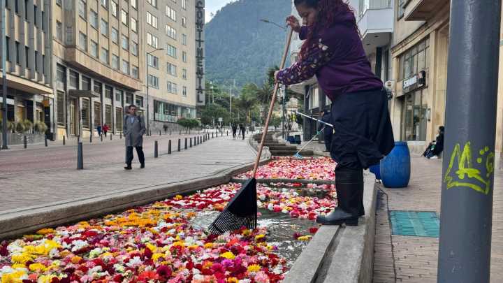 La empresa detrás del cierre de 'Canto del río', de la Bienal de Arte de Bogotá: así se transforman 150.000 flores en abono