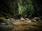 El Quindío, ejemplo nacional en sostenibilidad y acción climática