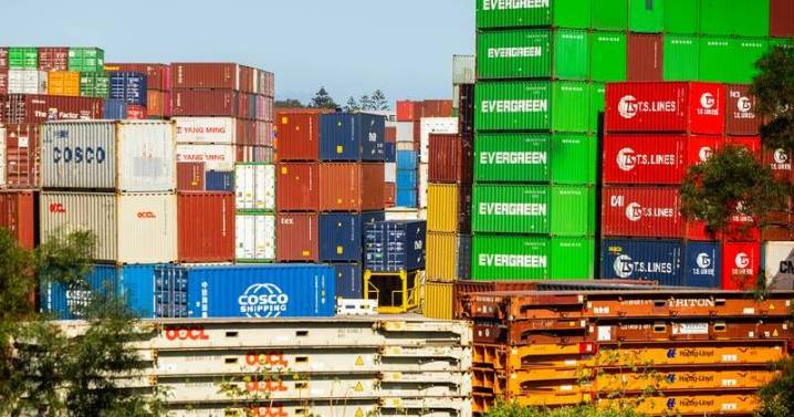 Economy shrugs off tariff turmoil to outperform peers