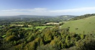 The beautiful London bus route starting in Croydon and taking you through National Trust site