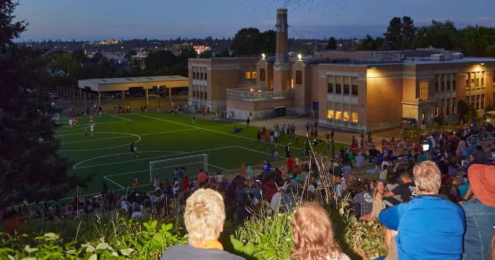 The Vaux’s Swifts Have Abandoned Their Chapman Elementary School Roost