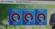 Pollen count remains high in DFW amid clear, warm days